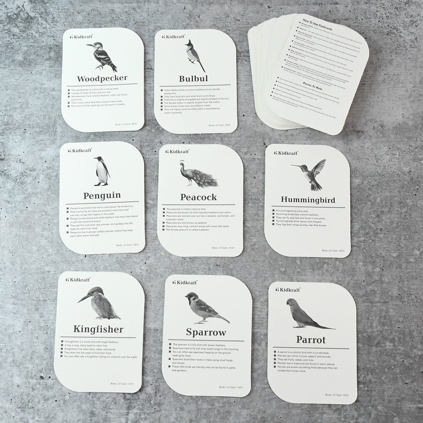 Kidkraft Early Learner Educational Flashcards 32 Birds - click & collect