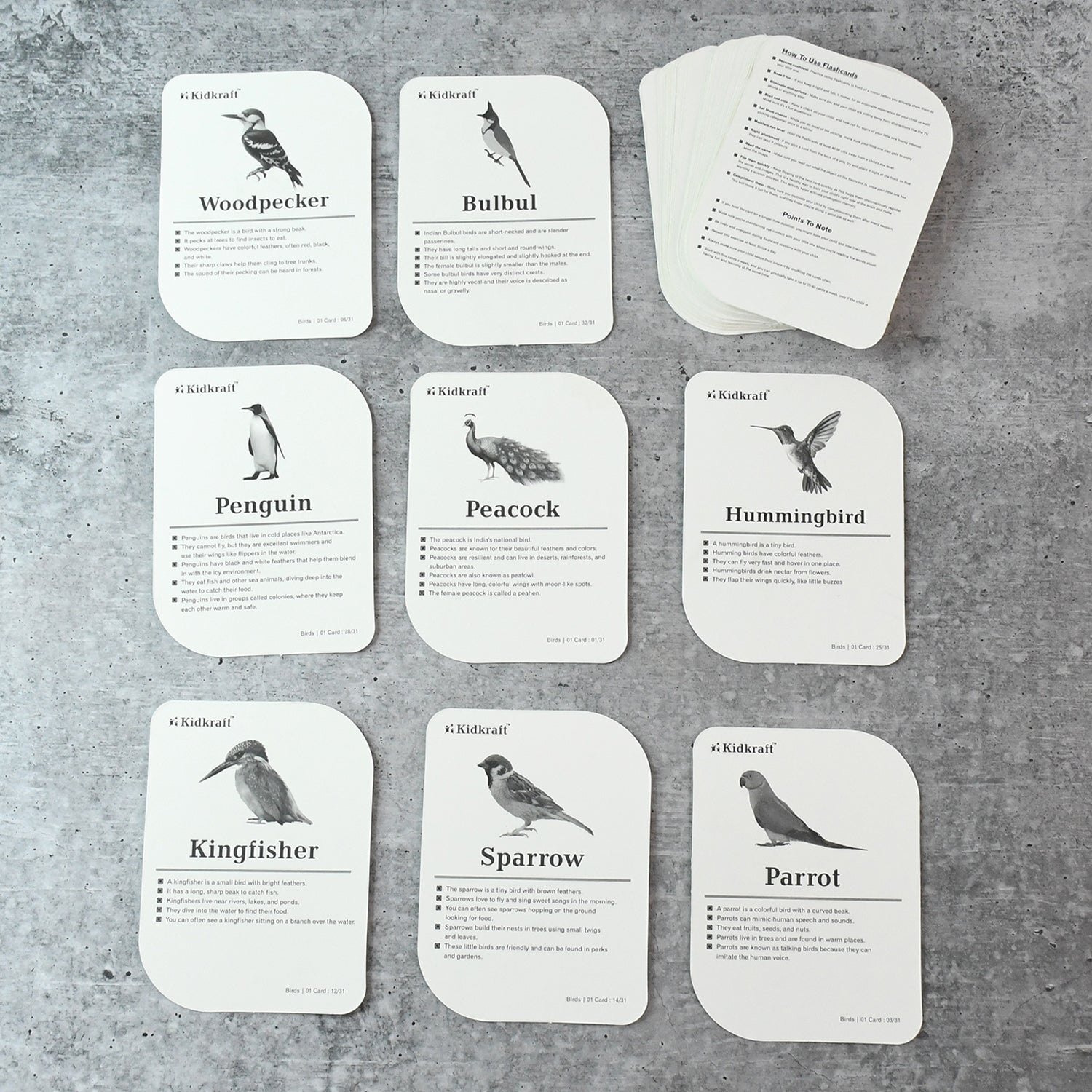 Kidkraft Early Learner Educational Flashcards 32 Birds - click & collect