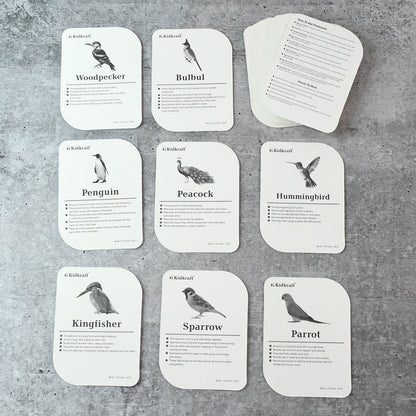 Kidkraft Early Learner Educational Flashcards 32 Birds - click & collect