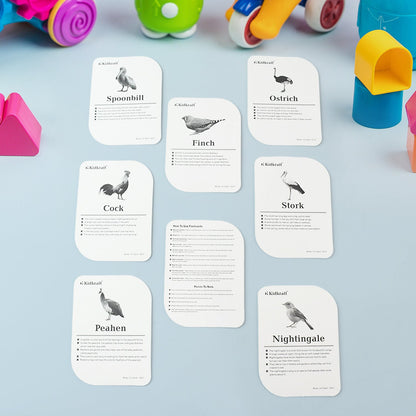 Kidkraft Early Learner Educational Flashcards 32 Birds - click & collect