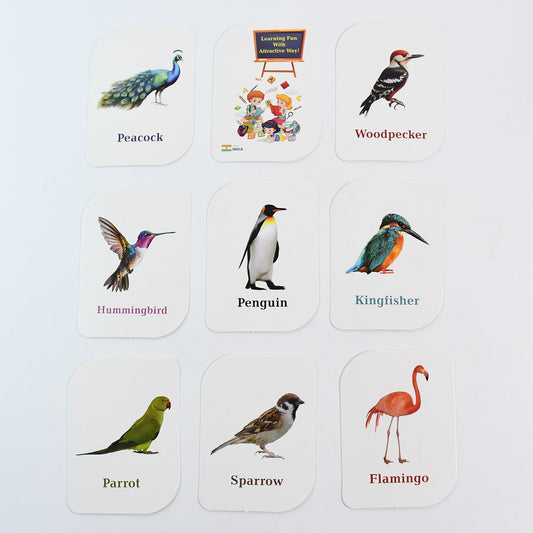 Kidkraft Early Learner Educational Flashcards 32 Birds - click & collect