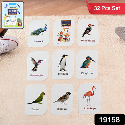 Kidkraft Early Learner Educational Flashcards 32 Birds - click & collect
